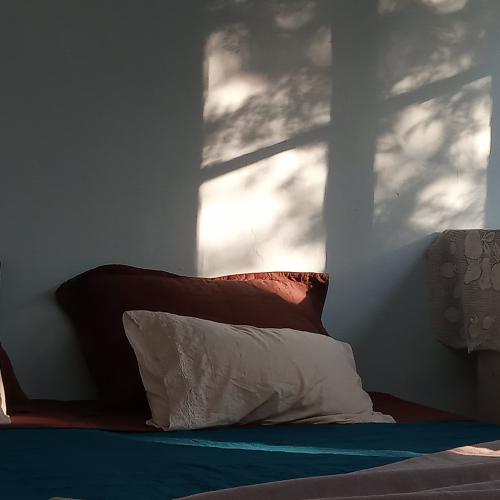 Farinha de Pau - Bungalow Earth